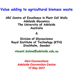 Value-adding to agricultural biomass waste