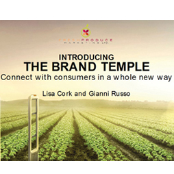 Introducing the brand temple: Connect with consumers in a whole new way