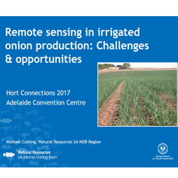 Remote sensing in irrigated onion production: Challenges & opportunities
