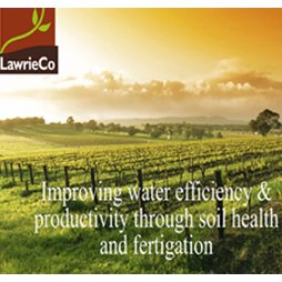 Improving water efficiency and productivity through soil health and fertigation
