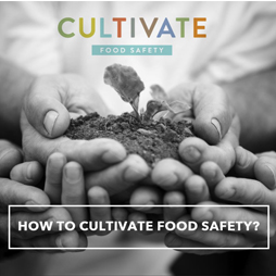How to cultivate food safety