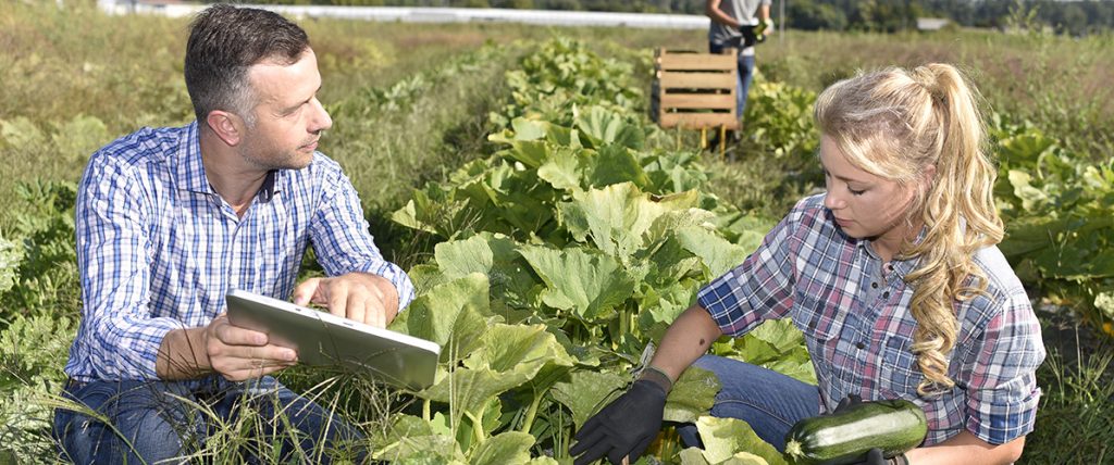 The 2018 AUSVEG Communications Survey is a chance for all industry members to contribute to the direction and content of AUSVEG communications.