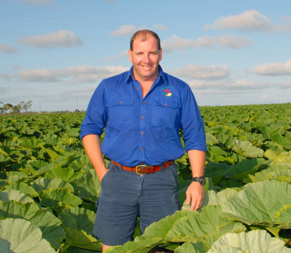 Have a look at how the levy-funded Soil Wealth project has delivered productivity benefits for Queensland vegetable grower Jamie Jurgens.