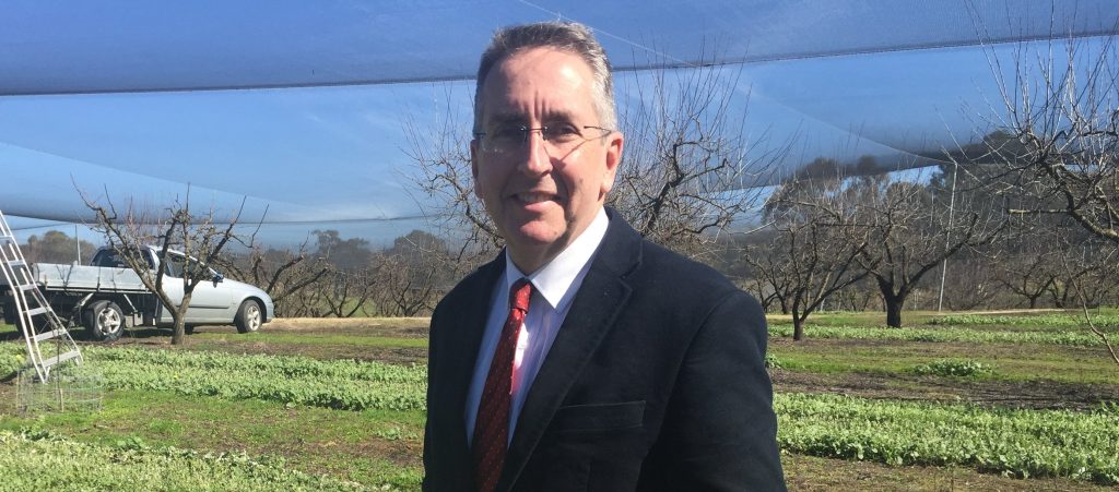 The Hort Innovation Board has advised that chief executive John Lloyd has announced he will step down in the second half of 2018.
