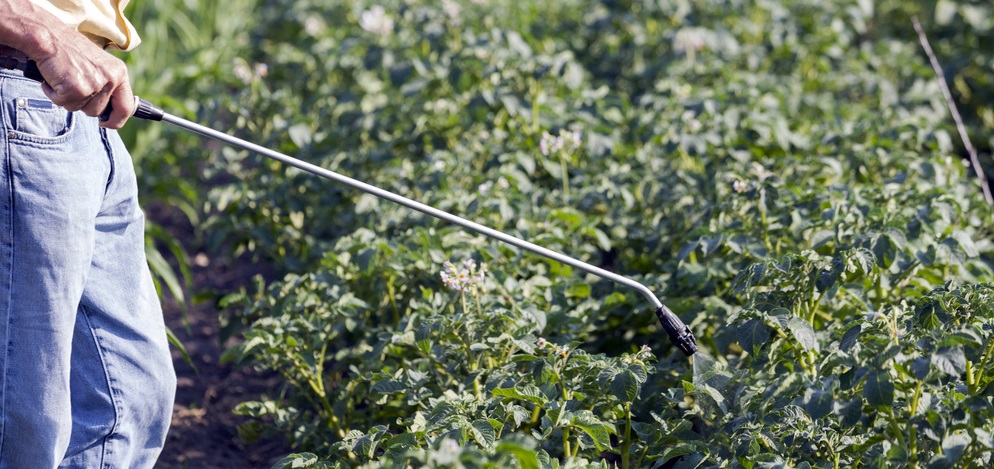 To ensure that the agrichemical needs of the vegetable sector are accurately recorded and understood, AUSVEG is coordinating crop-specific surveys.