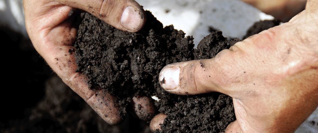Fact sheet: Taking soil samples