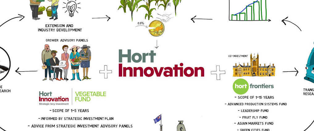 The latest episode of InfoVeg TV breaks down how Hort Innovation invests in projects to help the industry tackle challenges and increase its productivity.