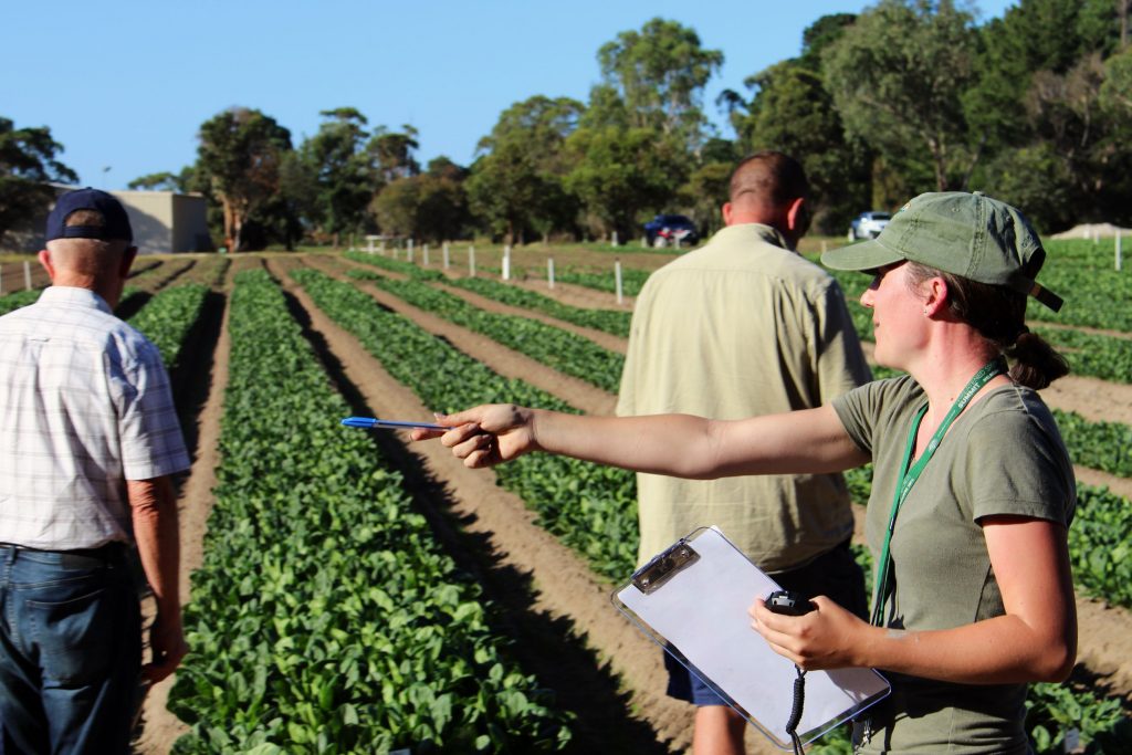 Event: “Biosecurity and Beneficials” workshop, QLD
