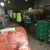 Lawson's True Earth organic carrots ready for bagging in the packing shed.