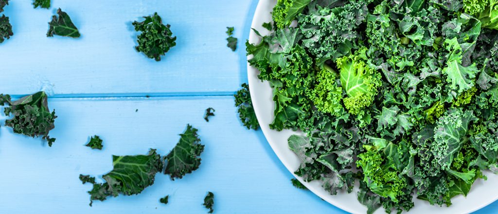 Latest Harvest to Home Comprehensive review: Kale