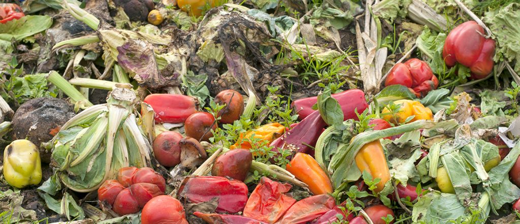The study suggested over 277,000 tonnes of vegetables are wasted every year, costing growers around $155 million annually.