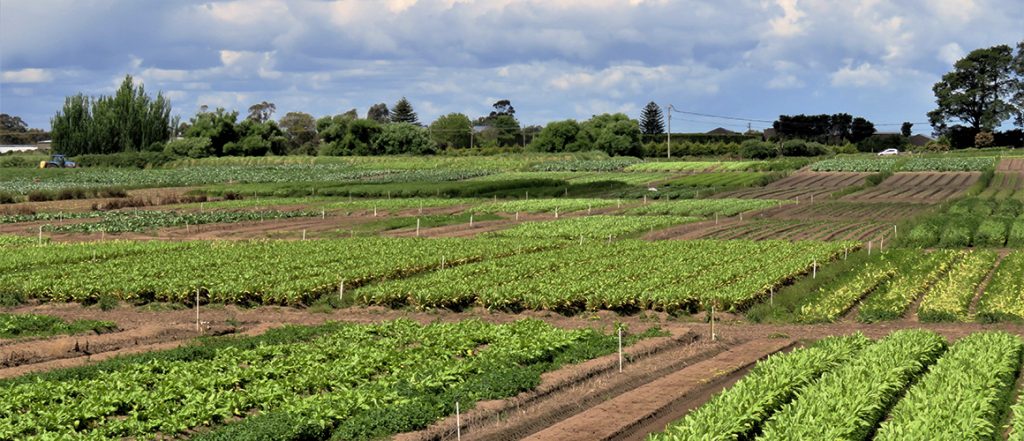 The 29 June meeting covered an agriculture visa proposal, the Horticulture Code of Conduct and agriculture chemicals, as well as discussing issues relating to membership.