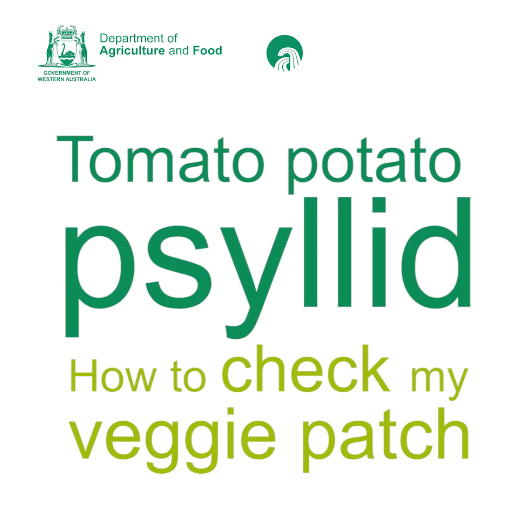 This video will take you through how to check your veggie patch for the damaging tomato potato psyllid.
