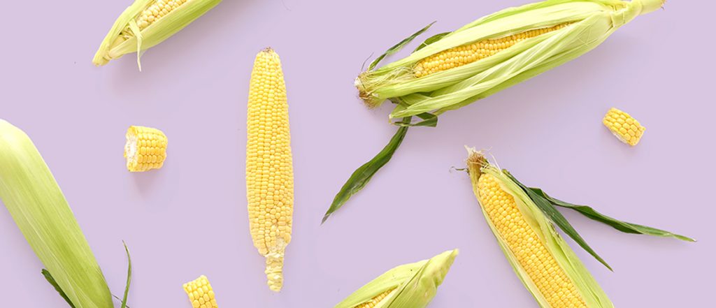 If you grow sweet corn or brassicas in the Bathurst region, head along to these workshops to help identify the gaps in our industry's chemical access.
