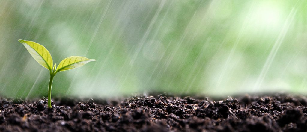A new study from the University of Melbourne will investigate the adoption of soil moisture monitoring technology in Australian agriculture. Click here to participate!