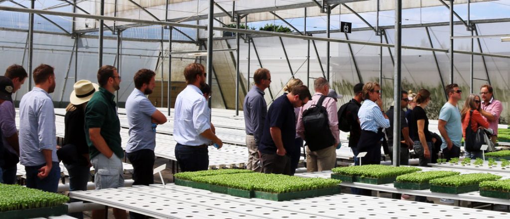 Applications for Masterclass in Horticulture now open