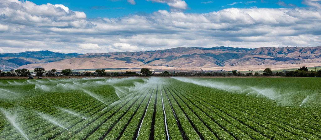 Toro Australia is a leading supplier of irrigation products and has renewed its support for Australian vegetable growers by continuing its partnership with AUSVEG.