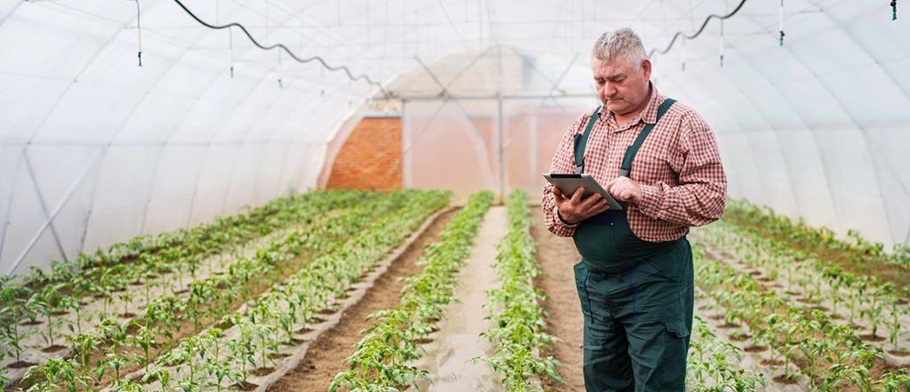 ABARES' report on tech use shows that Australian vegetable farms have lower internet connection rates than other sectors, but are more likely to have websites.