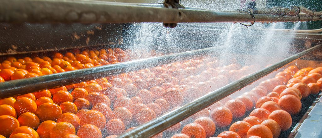 Dr Pieternel Luning from Wageningen University will present at this webinar, hosted by the Fresh Produce Safety Centre Australia & New Zealand.