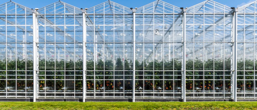 This workshop and glasshouse tour on 13 November 2019 is open to Protected Cropping Australia and Hydroponic Farmers Federation members. Click here for more.