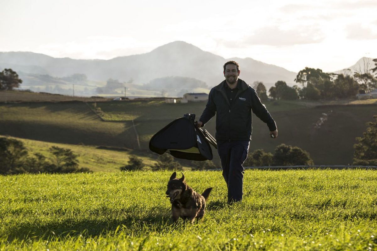 Tim Walker: Sowing the seeds for success in all facets of the potato ...