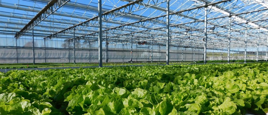In February 2019, Protected Cropping Australia will be touring Tasmanian growing operations. Learn more through the tour flyer here!
