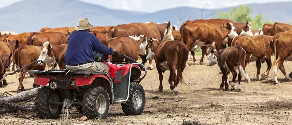 WorkSafe Victoria has released videos and other resources to help you identify and control the risks of using quad bikes on your farm.