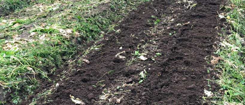 The Soil Wealth project has published a great article listing the benefits of strip-till in vegetable farming. Learn more about adopting it here.