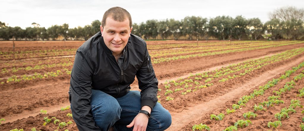 SA grower Anthony De Ieso and his staff have taken full advantage of the free training available through the levy-funded VegPRO program. Read more!