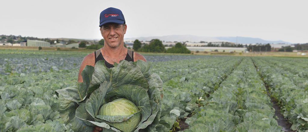 This edition profiles a range of R&D, including redbacks in broccoli, cover cropping's impact on weeds, and the business case for vegetable marketing.