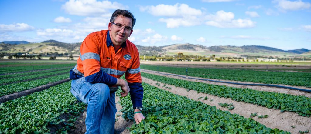 A levy-funded project took Australian vegetable growers, including Tasmanian Jono Craven, to visit commercial growers and seed trial sites in Spain in 2018.