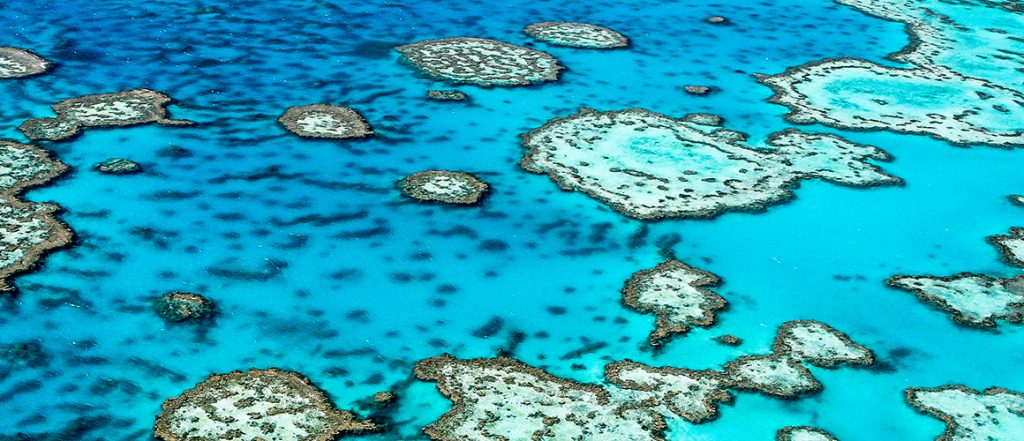Subsidies up to $5,000 are available for growers in catchments near the Great Barrier Reef seeking to address nutrient, sediment and pesticide management practices.
