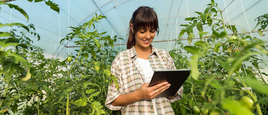There are up to 25 scholarships available for first-time undergraduate students whose studies will enable them to contribute to the Australian agriculture industry.