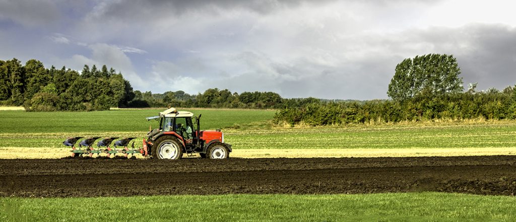 This new resource from VegNET Tasmania looks at the practical considerations of strip-till farming, from healthier crops to the difficulties of implementation.