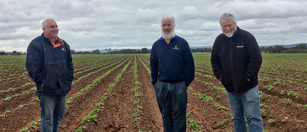 South Australian potato grower Virgara Bros has participated in an IPM project to control pest populations in potato crops. Learn more with Grower Success Stories.