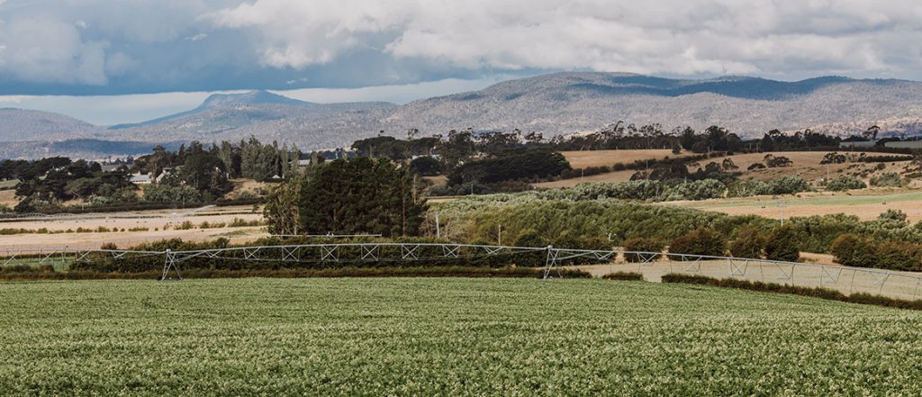Leading Tasmanian seed potato business Agronico is continuing to support the Australian potato and vegetable industries through its Strategic Partnership with AUSVEG.