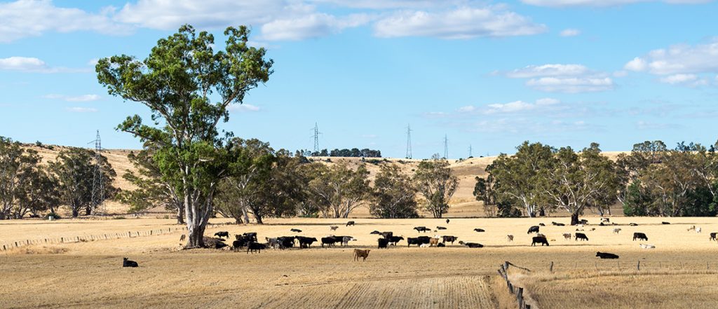 The additional funding includes one-off payments to farmers in east and central Gippsland and eligible dairy farmers in northern and north-west Victoria.