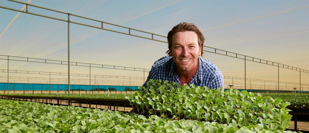 We spoke to James Dickson in March 2017 about his role at Gro-Link Nursery, a family-run business at Werribee South in Victoria.