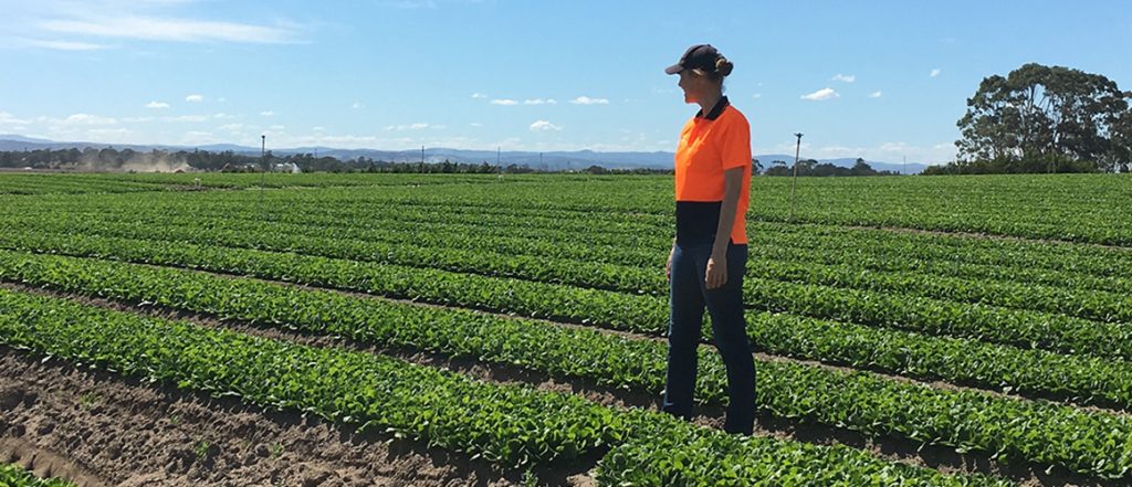 Read about Dr Marie-Astrid Ottenhof about the role she plays in maintaining Schreurs & Sons' food safety record in this profile from Vegetables Australia.