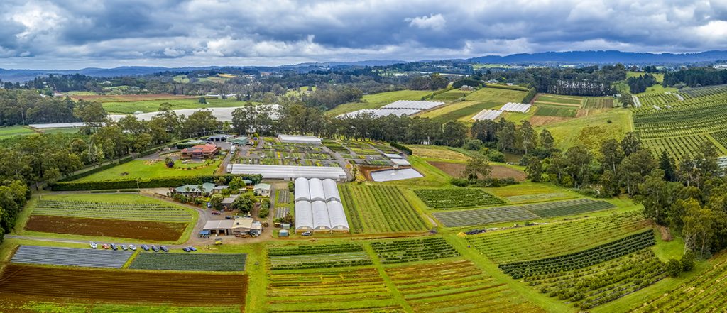 The Victorian government is looking for comment about how to protect agricultural land in Melbourne's peri-urban and green wedge areas. Learn more here.