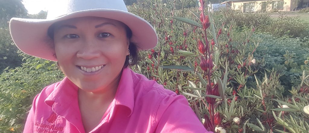 Cecilia Diaz-Petersen – better known as CC – and her husband Greg are one of only a few commercial rosella growers in Australia. We profiled her in the March/April 2019 edition of Vegetables Australia magazine.