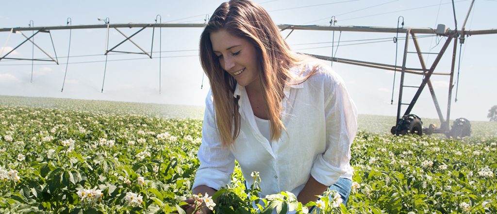 Renee Pye is a 24-year-old grower from Zerella Fresh in South Australia. We profiled her in the April/May 2019 edition of Potatoes Australia magazine.