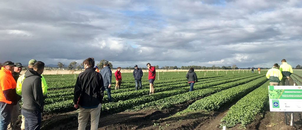 A recent farm walk held at the Schreurs & Sons' trial site gave attendees the chance to see precision ag technology first-hand.