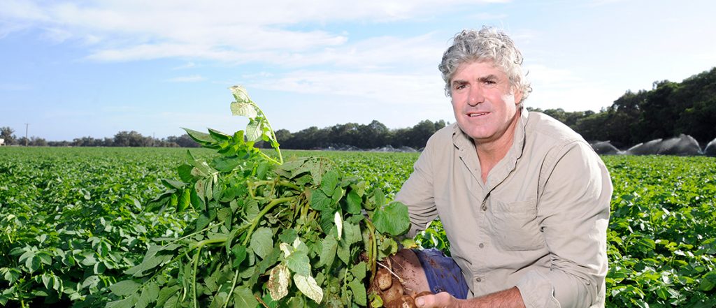 The new edition of Potatoes Australia showcases some of the latest in research and development and how growers are becoming involved in industry activities.