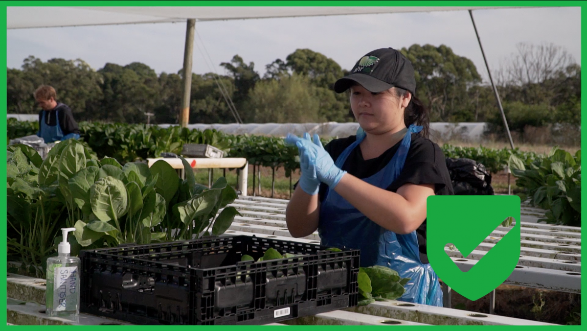 Handling Fresh Produce Safely the course for people in the vegetable