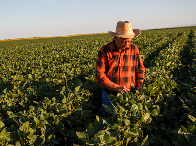 AUSVEG welcomes the appointment of David Littleproud as Federal Minister for Agriculture