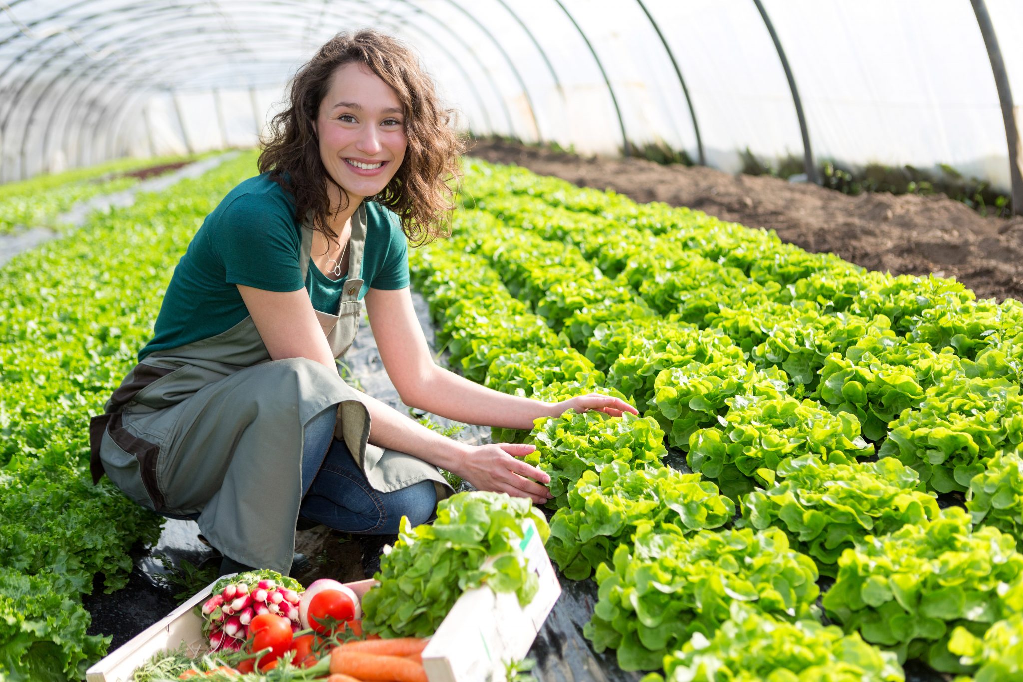Women in horticulture scholarships AUSVEG