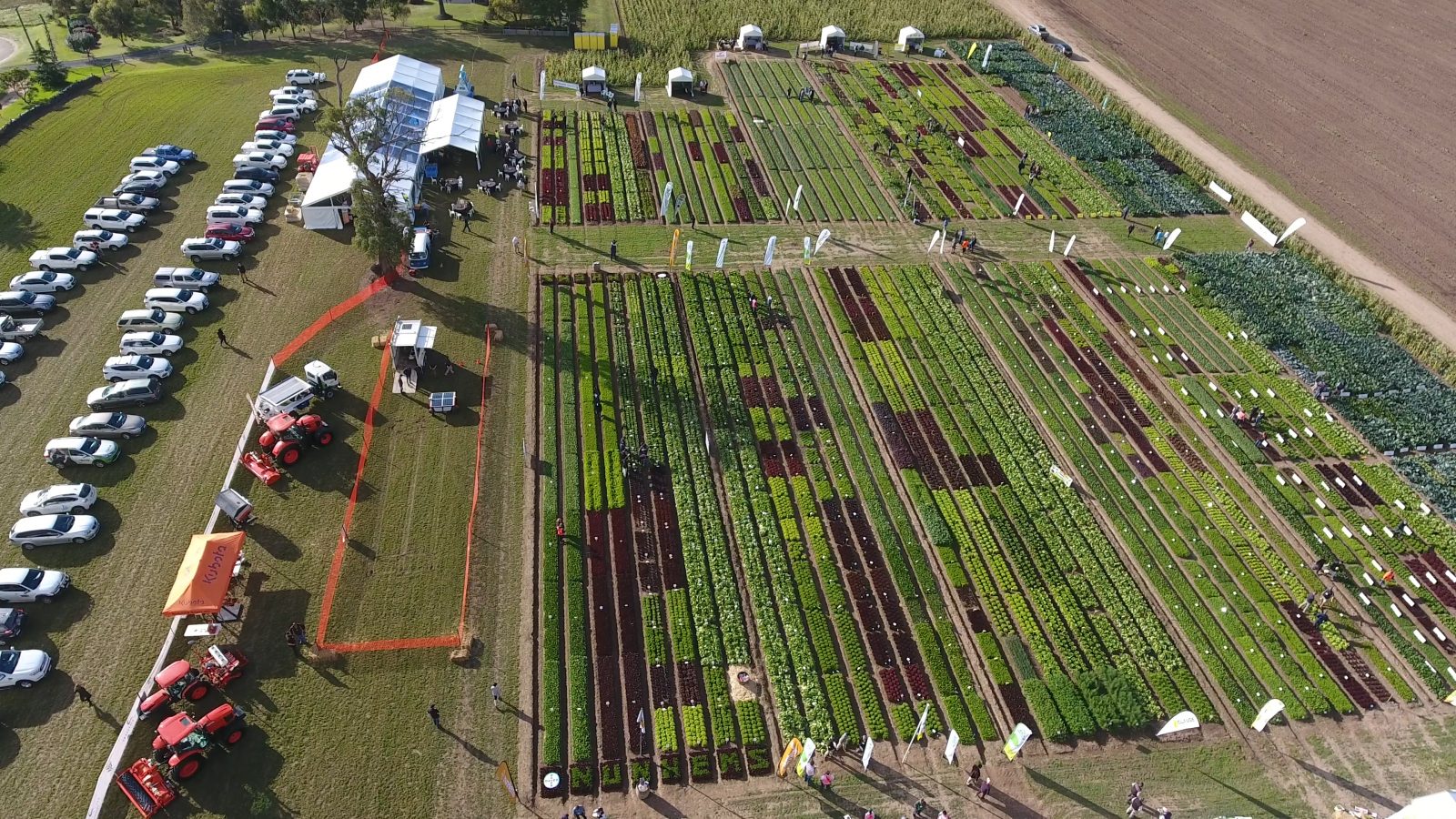 Get ready! The East Gippsland Vegetable Innovation Days return AUSVEG
