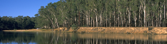 Calls for submissions: Murray-Darling Basin independent report
