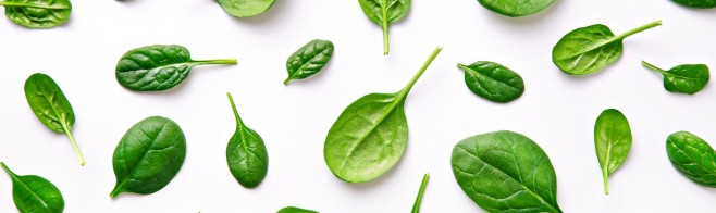EGVID 2020 | Seminis – spinach